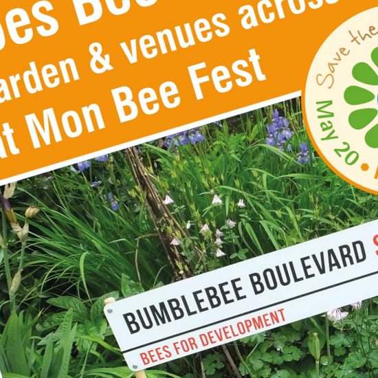 Mon Bee Fest Flyer